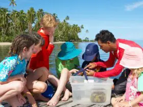 Jean-Michel Cousteau Resort in Fiji (Photo: Jean-Michel Cousteau Resort)