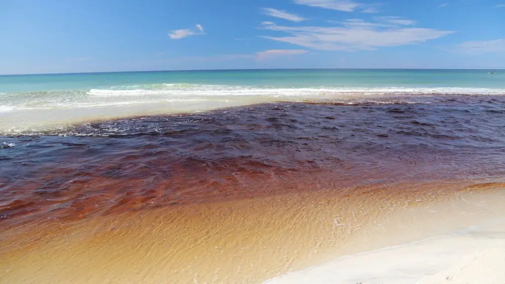 The park is bordered by the Gulf of Mexico and by Lake Powell, the largest coastal dune lake in Florida