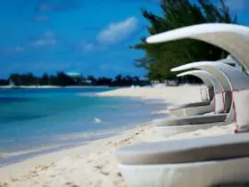 Kimpton Seafire Resort + Spa