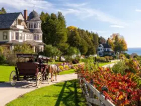 Private carriage tour on Mackinac Island (Photo: Mackinac Island Tourism)