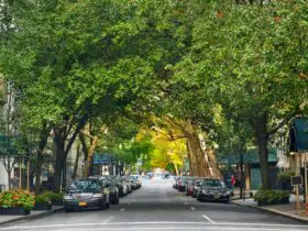 New York's Upper East Side