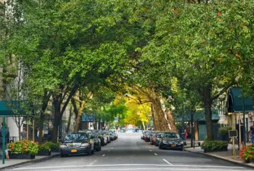 New York's Upper East Side