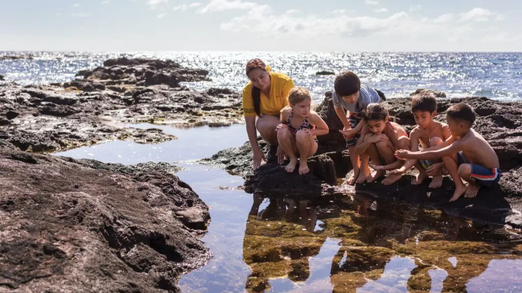 Four Seasons Resort Lanai