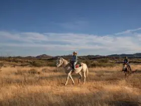 Rancho de la Osa Riding