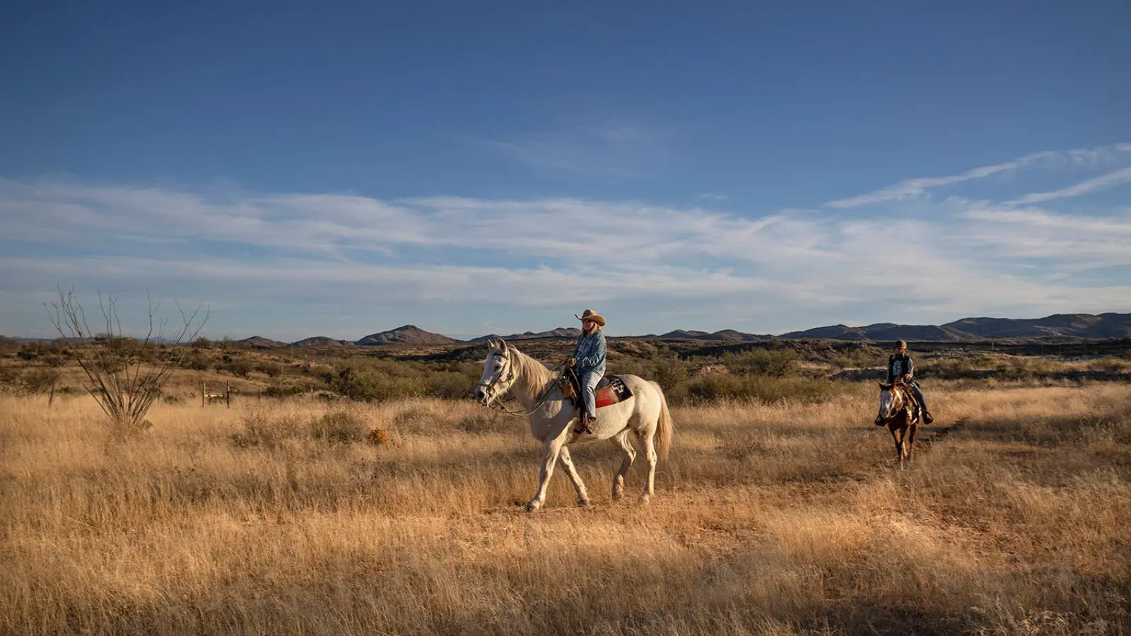 Rancho de la Osa Riding
