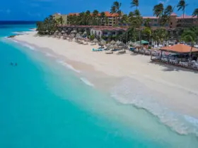 Divi Aruba Beach Overview