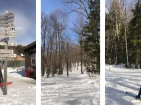 The cross-country trails are well-marked at Trapp Family Lodge in Stowe, Vermont (Photo: Penelope Roberts)
