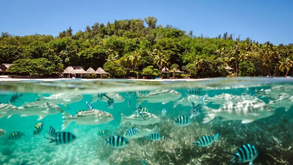 Turtle Island offers a family week a few times a year (Photo: Turtle Island Fiji)