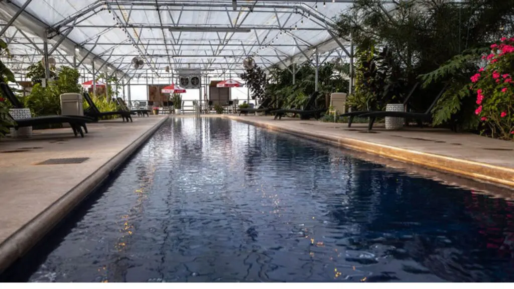 Image of the indoor hot spring and greenhouse at Sand Dunes hot springs in Coloradp