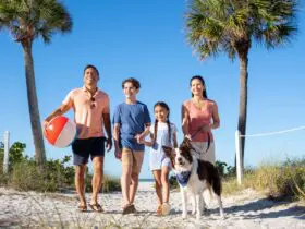 Family and dog on beach (Photo: TradeWinds Island Resort)