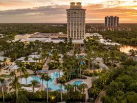 Sunset view of Hyatt Regency Coconut Point