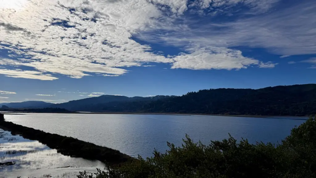view of Tomales Bay on a sunny day