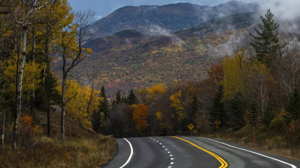 A road lined with fall foliage and mountains in the distance
