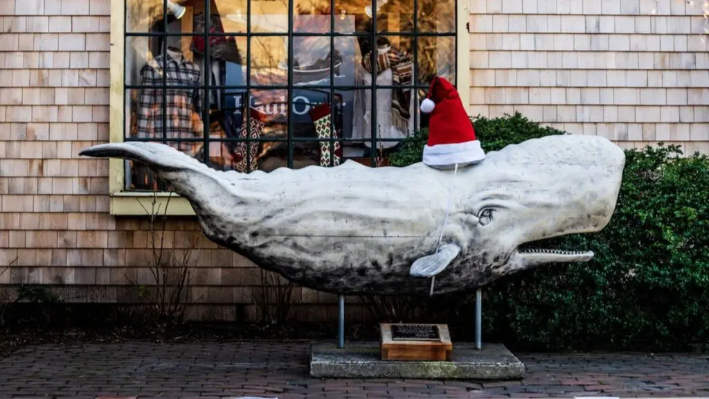A whale sculpture wearing a Santa hat in front of a store window in Nantucket
