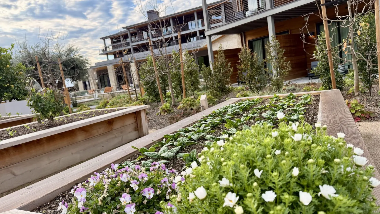 view of garden and buildings at Appellation Healdsburg