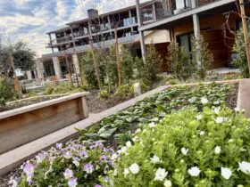 view of garden and buildings at Appellation Healdsburg