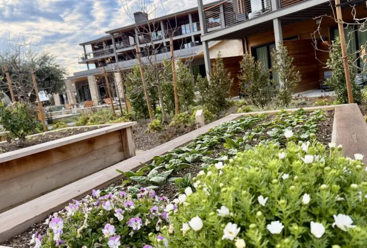 view of garden and buildings at Appellation Healdsburg