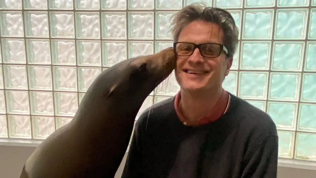 Kissed by a sea lion at Mystic Aquarium