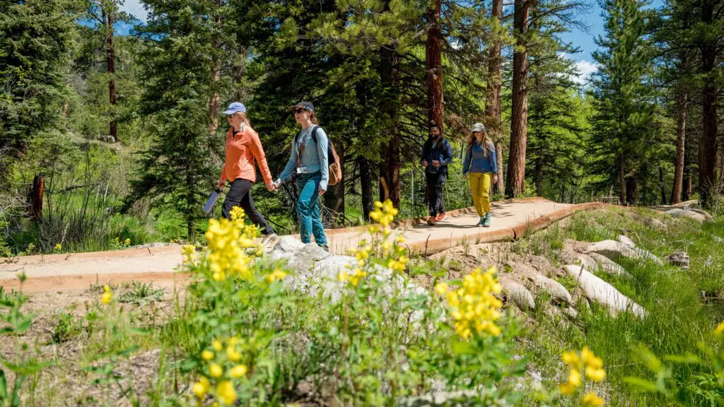Empat orang berjalan di sepanjang jalan setapak di hutan berbunga di Estes Park, Colorado