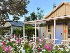 flowers and cottages at Carneros Resort & Spa in Napa, California