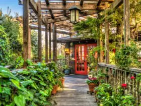 Stanford Inn walkway with lush gardens and red door