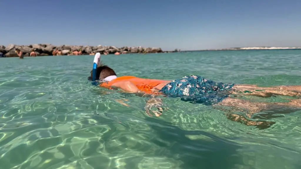 Flipper’s Adventures Snorkeling was one of the highlights of the trip (Photo: Tarah Chieffi)