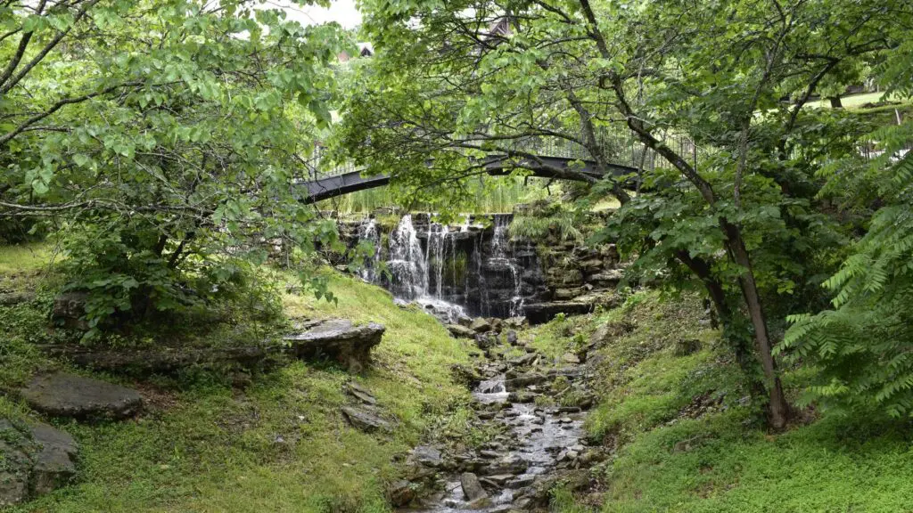 waterfall and nature at Big Cedar Lodge