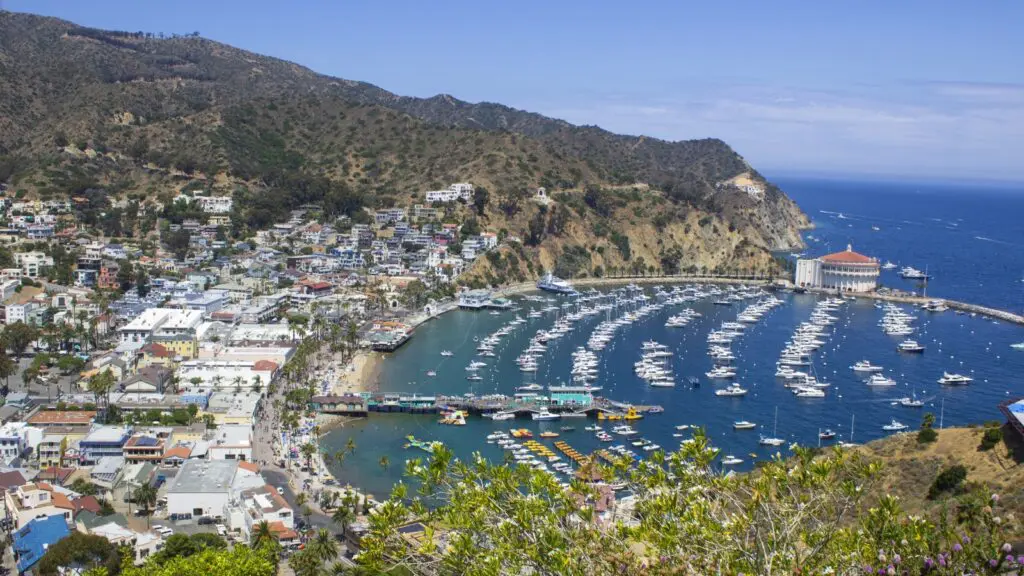 An aerial view of Avalon on Catalina Island