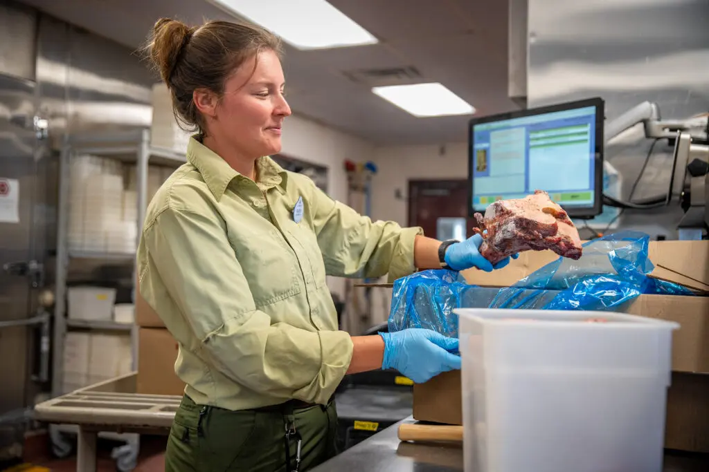 A Cast Member prepares food at the Animal Nutrition Center at Disney's Animal Kingdom