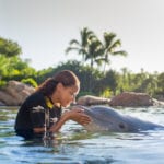 Dolphin swim experience at Discovery Cove (Photo: Discovery Cove)