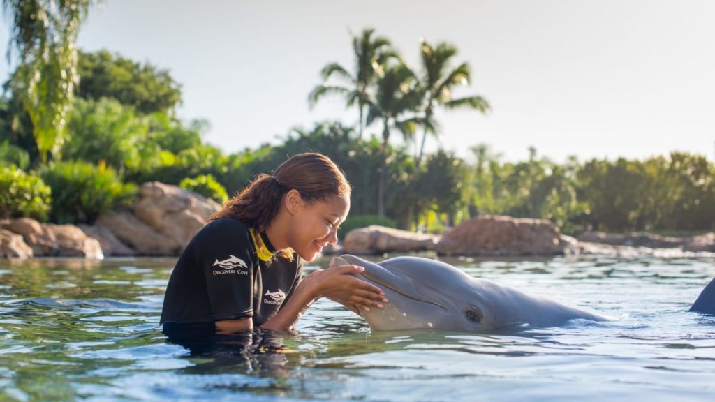Dolphin swim experience at Discovery Cove (Photo: Discovery Cove)