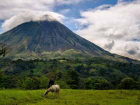 Arenal volcano in Costa Rica ringed in clouds with a horse grazing in the foreground