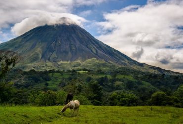 Arenal volcano in Costa Rica ringed in clouds with a horse grazing in the foreground
