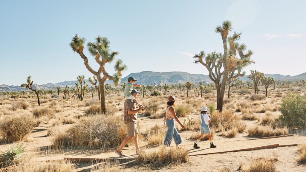A family walking at Joshua Tree