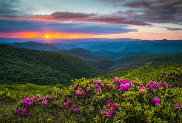spring in national parks: Blue Ridge Parkway scenery with wildflowers in bloom