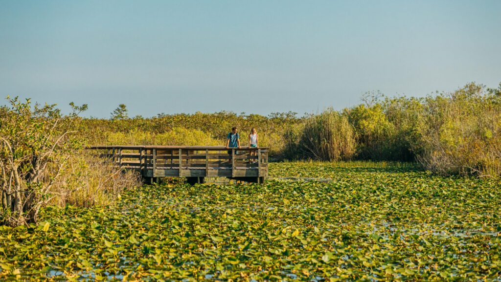A man and woman at an overlook while hiking the Anhinga Trail at Everglades National Park