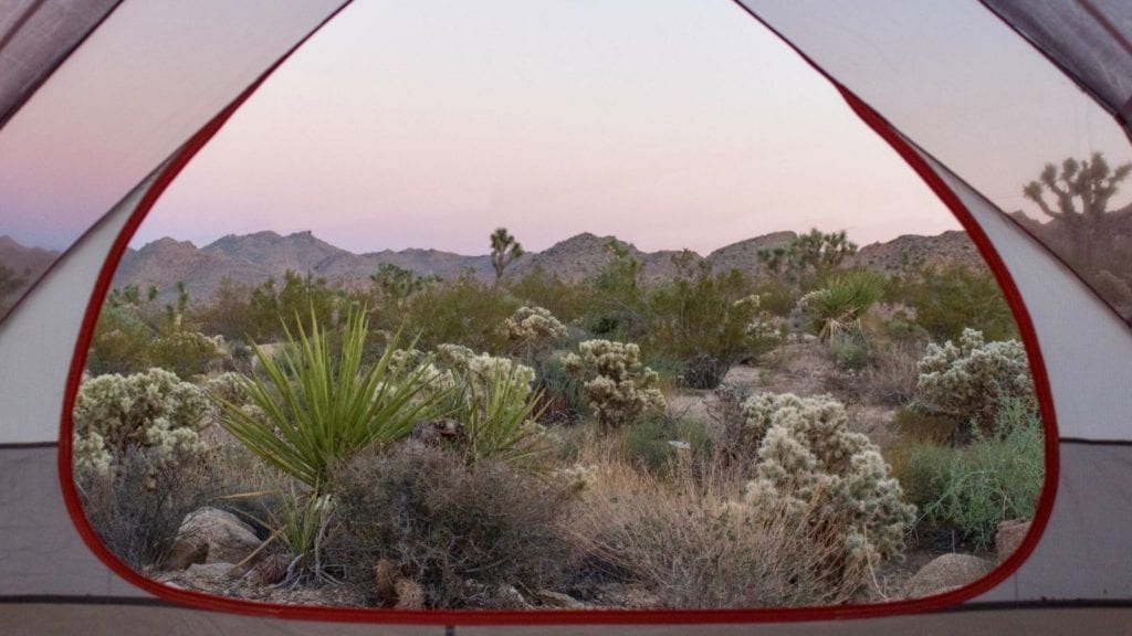 view from tent in Joshua Tree; national parks in spring