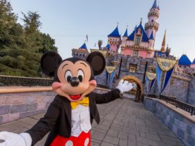 Welcome to Disneyland Resort in Anaheim, California (Photo: Joshua Sudock/Disneyland Resort)