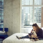 Dog and its person lounging in a hotel room at Aloft Hotels, a dog-friendly hotel chain