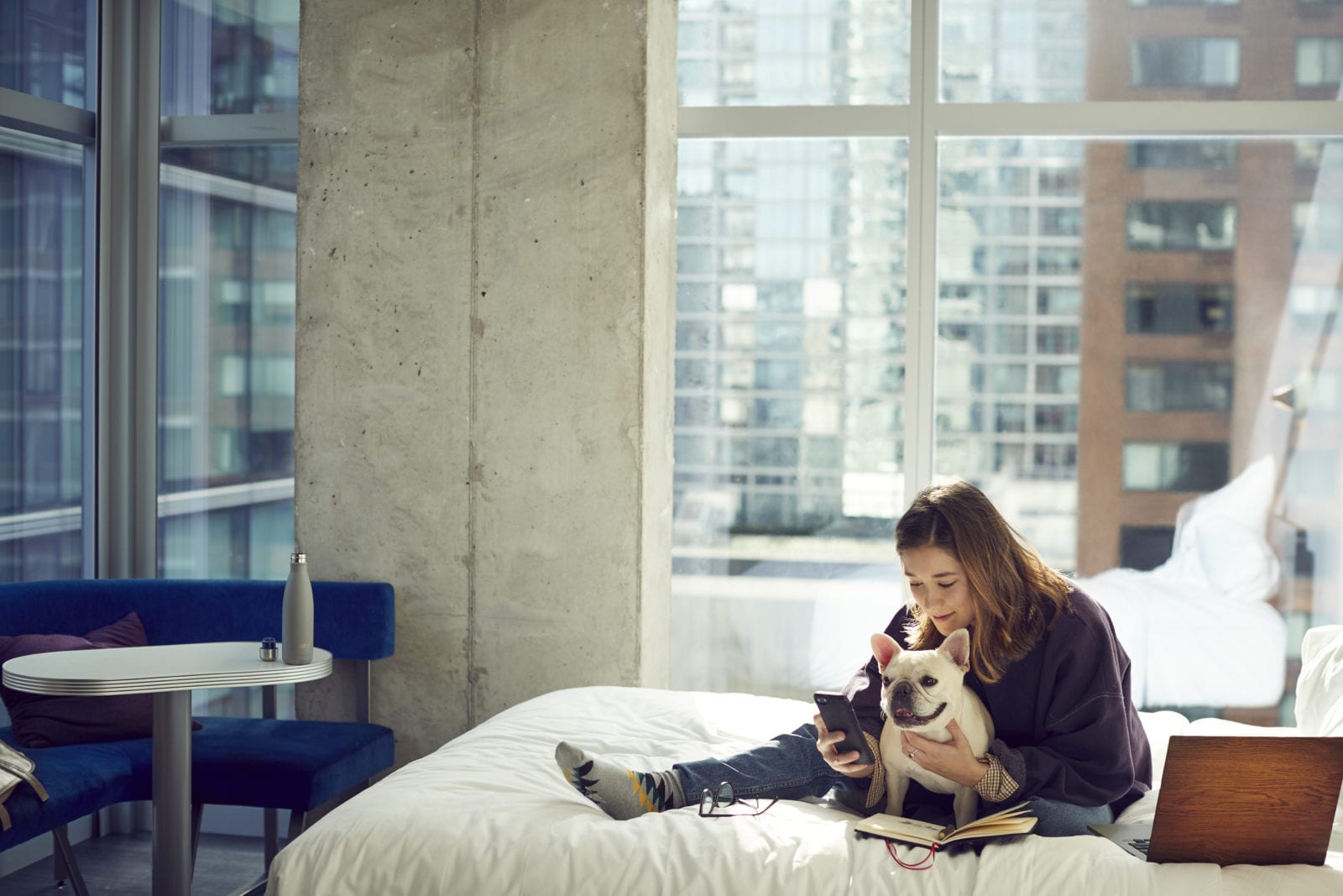 Dog and its person lounging in a hotel room at Aloft Hotels, a dog-friendly hotel chain