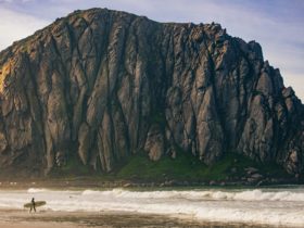 Surfer in Morro Bay, California, near Pismo Beach