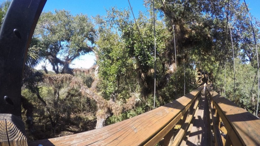 Canopy Walkway di Myakka State Park (Foto: Adam Cellini / Visit Sarasota County)