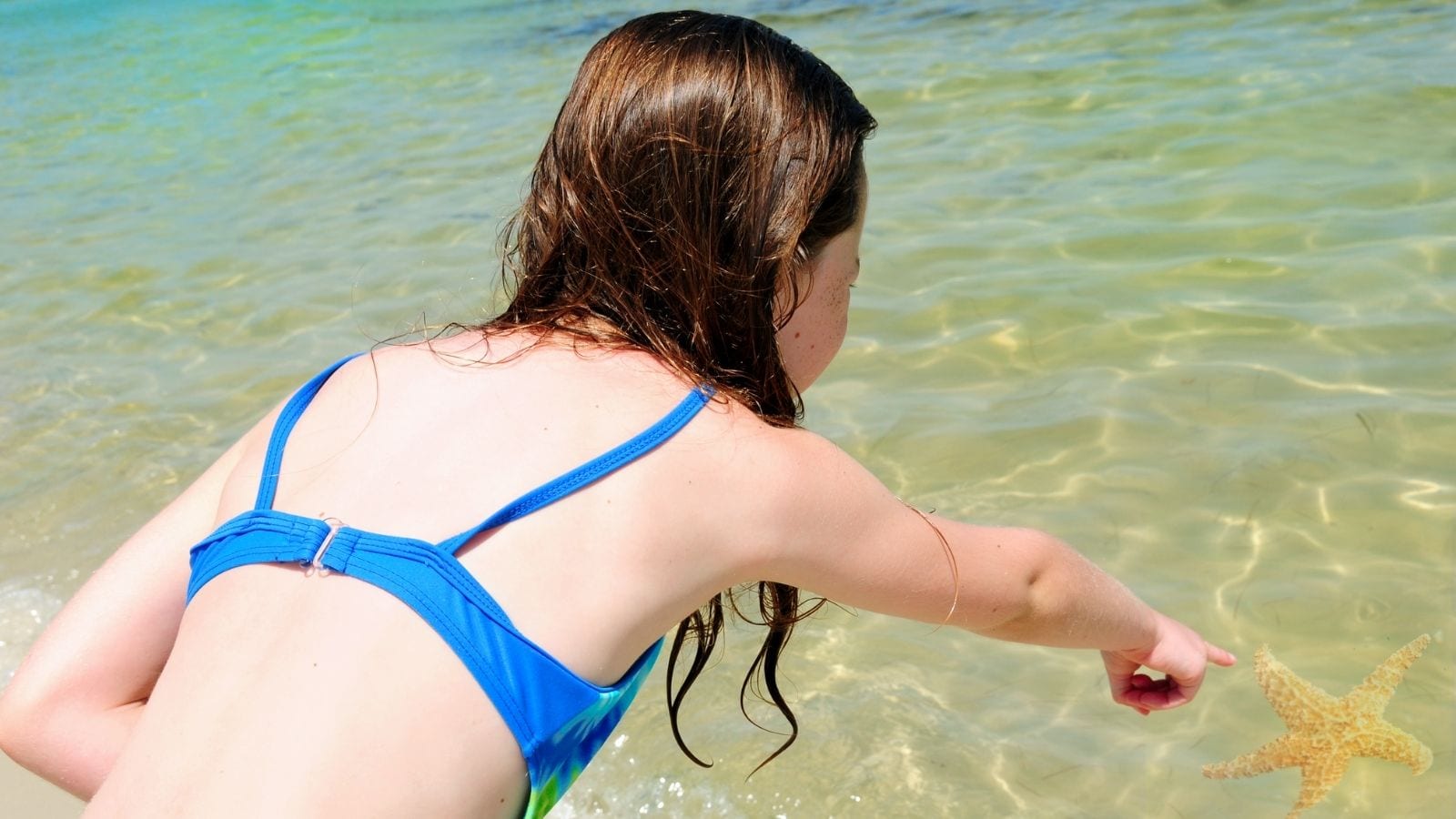 Young girl excited to find starfish in shallow ocean (Photo: Cheryl Casey / Shutterstock)