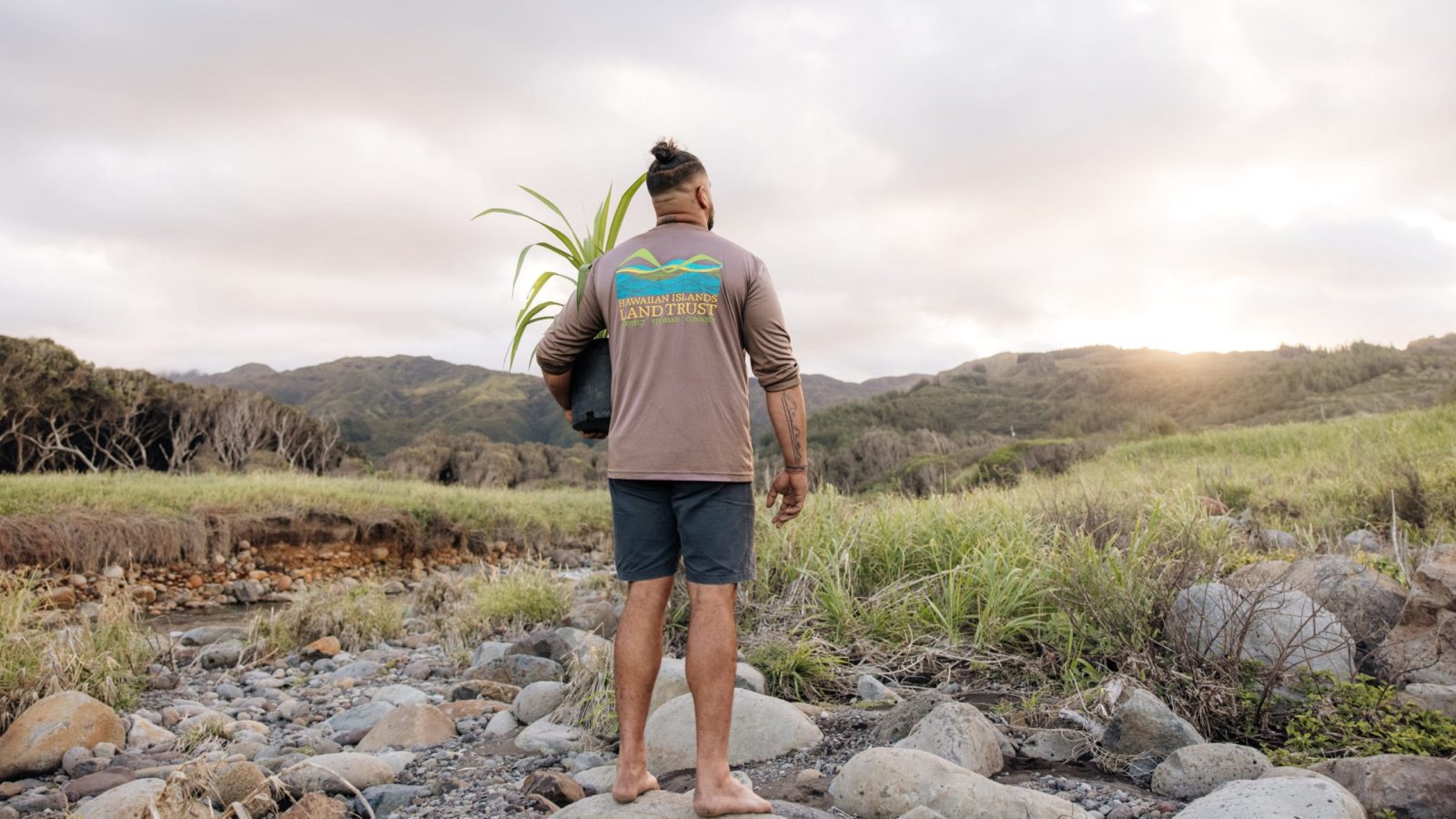 Kiai Collier of Hawaii Land Trust walks with a hala (pandanus) sapling to a reforestation site