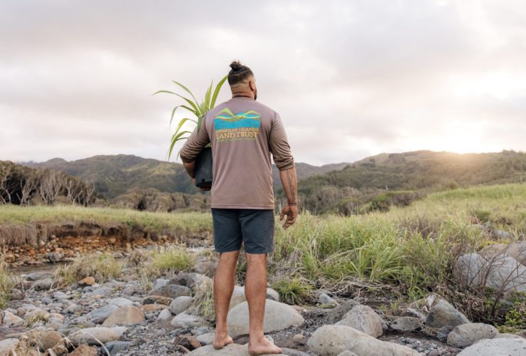 Kiai Collier of Hawaii Land Trust walks with a hala (pandanus) sapling to a reforestation site