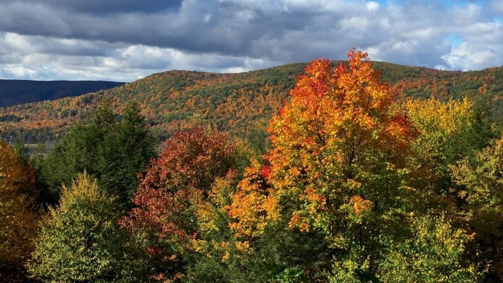 Fall colors in the Berkshire mountains of western Massachusetts (Photo: Lindsey Schmid)