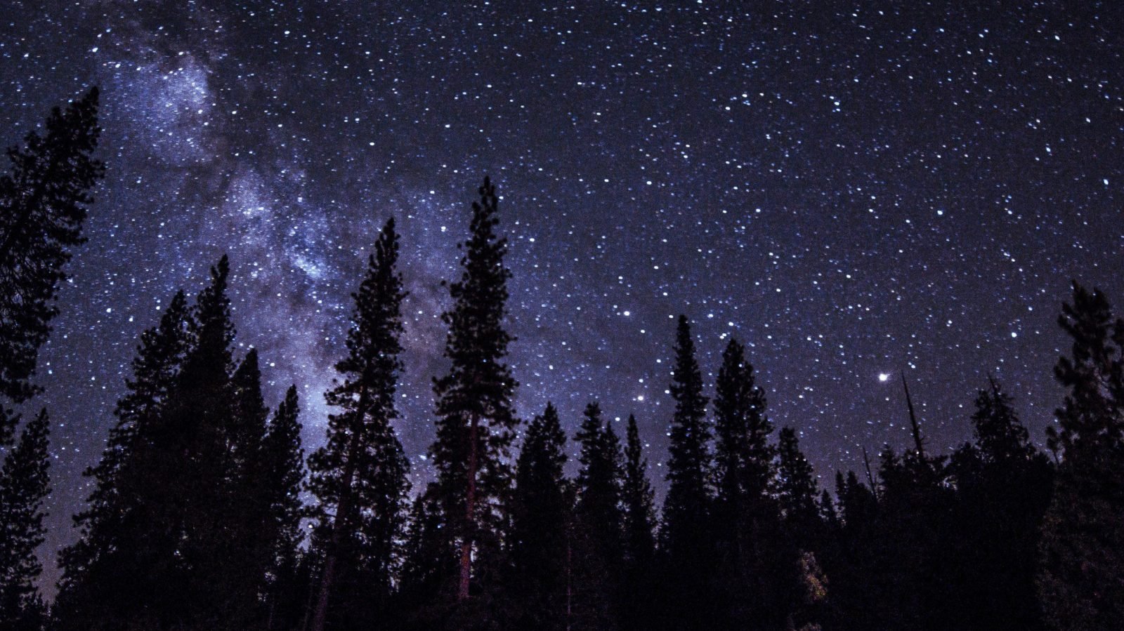 Night sky at a national park campground with many stars and the outline of evergreens against the night sky