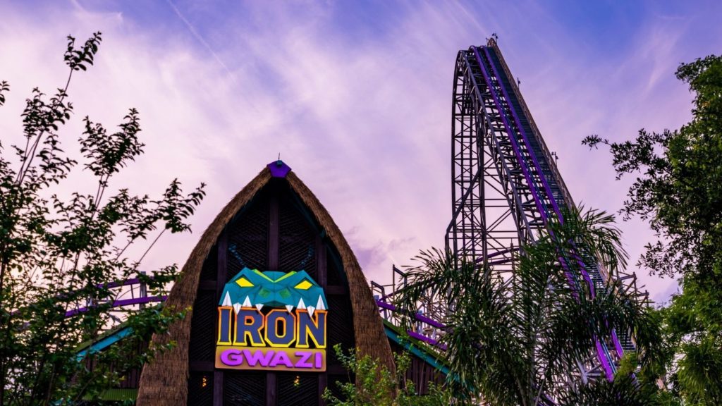 Iron Gwazi at Busch Gardens Tampa Bay (Photo: Busch Gardens)