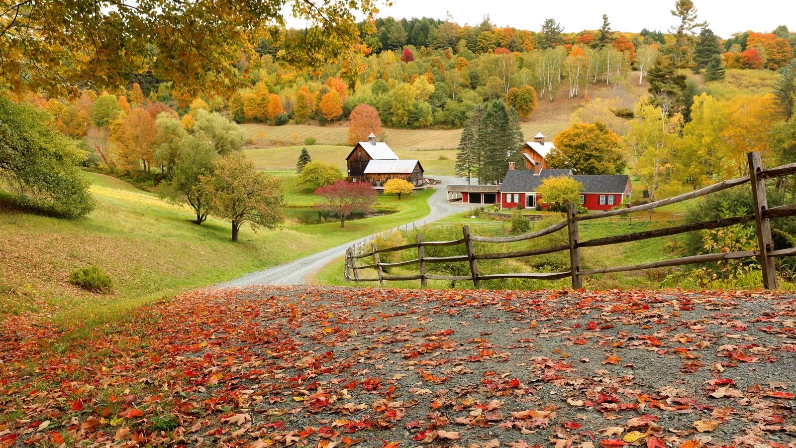 8 Charming New England Fall Getaways for Families - FamilyVacationist