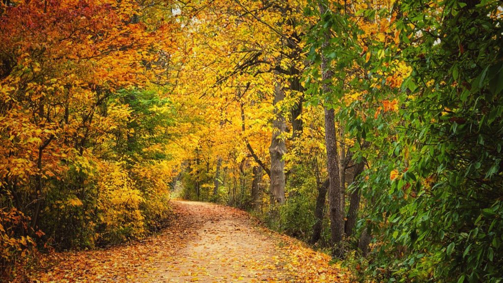 6 Spectacular Midwest Fall Getaways for Families - FamilyVacationist